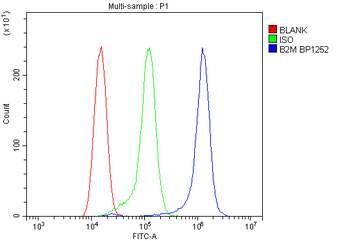 beta 2 Microglobulin/B2m Rabbit Polyclonal Antibody