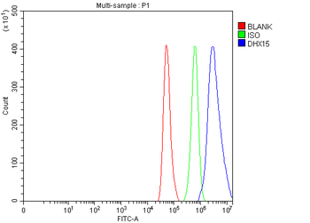 DHX15/prp43 Rabbit Polyclonal Antibody