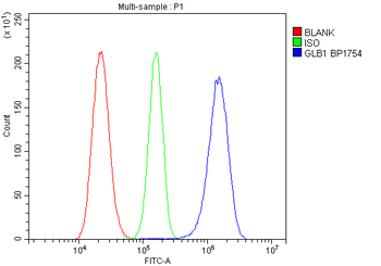GLB1/Beta-galactosidase Rabbit Polyclonal Antibody