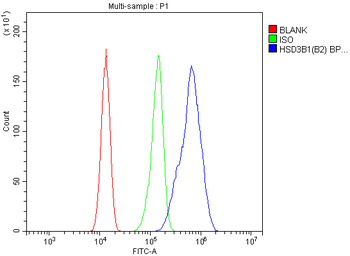 HSD3B1 Rabbit Polyclonal Antibody