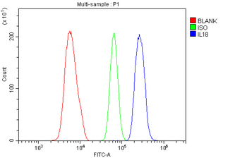 IL18 Rabbit Polyclonal Antibody