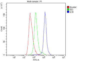 IL18 Rabbit Polyclonal Antibody