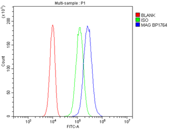 MAG Rabbit Polyclonal Antibody