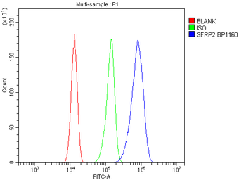 SFRP2 Rabbit Polyclonal Antibody