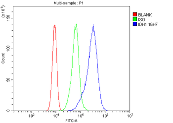 IDH1 Mouse Monoclonal Antibody