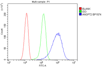 Angiopoietin-2/ANGPT2 Rabbit Polyclonal Antibody