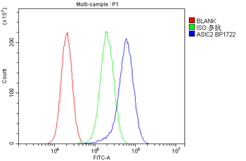 ACCN1/ASIC2 Rabbit Polyclonal Antibody