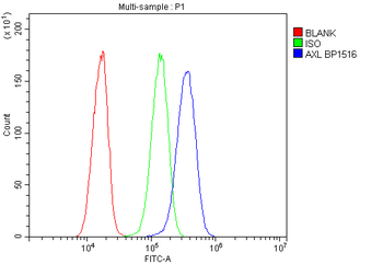 AXL Rabbit Polyclonal Antibody