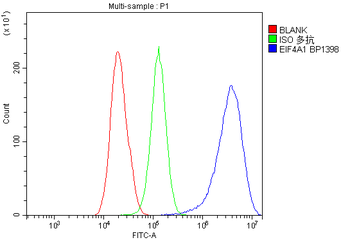 EIF4A1 Rabbit Polyclonal Antibody