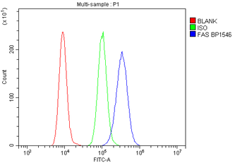 Fas Rabbit Polyclonal Antibody