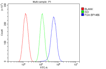 Fibrinogen alpha chain/FGA Rabbit Polyclonal Antibody