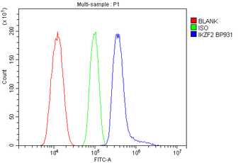 ZNFN1A2/HELIOS/IKZF2 Rabbit Polyclonal Antibody