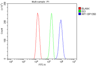 IRF1 Rabbit Polyclonal Antibody