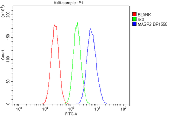 MASP2 Rabbit Polyclonal Antibody