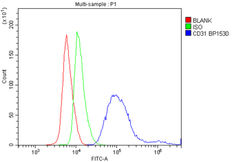 CD31/Pecam1 Rabbit Polyclonal Antibody