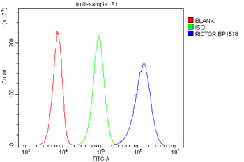 RICTOR Rabbit Polyclonal Antibody