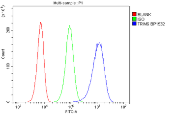 TLR1 TRIM6 Rabbit Polyclonal Antibody