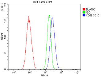 CD59 Mouse Monoclonal Antibody