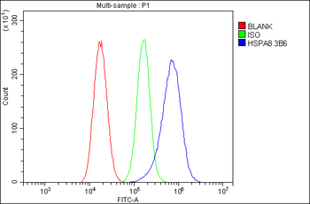 Hsc70 Mouse Monoclonal Antibody