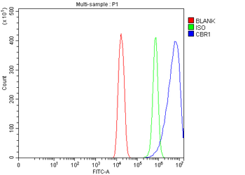 CBR1 Rabbit Polyclonal Antibody
