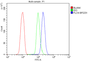 FLCN Rabbit Polyclonal Antibody