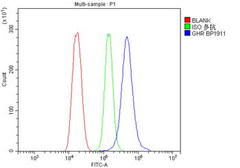 Growth hormone receptor/GHR Rabbit Polyclonal Antibody