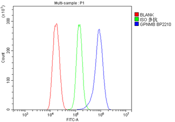 GPNMB/Gpnmb Rabbit Polyclonal Antibody