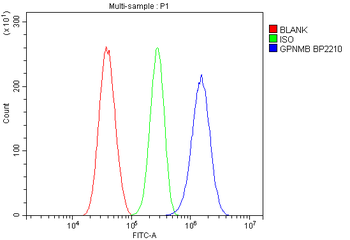 GPNMB/Gpnmb Rabbit Polyclonal Antibody