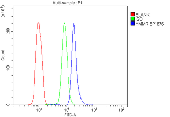 CD168/HMMR Rabbit Polyclonal Antibody