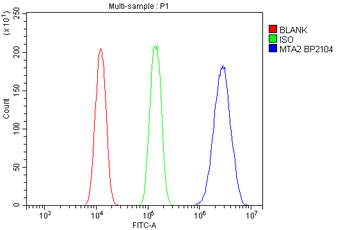 MTA2/PID Rabbit Polyclonal Antibody