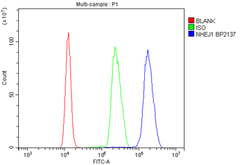 XLF/NHEJ1 Rabbit Polyclonal Antibody