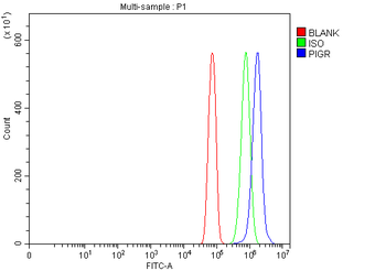 Polymeric immunoglobulin receptor/PIGR Rabbit Polyclonal Antibody