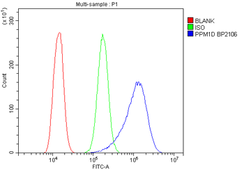 PPM1D/WIP1 Rabbit Polyclonal Antibody