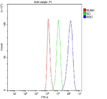Rsk 2/MAPKAP Kinase 1b/RPS6KA3 Rabbit Polyclonal Antibody