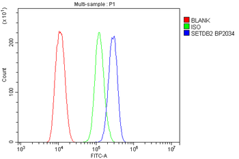 CLLD8/SETDB2 Rabbit Polyclonal Antibody