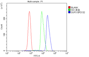 SUFU Rabbit Polyclonal Antibody