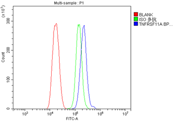 RANK/Tnfrsf11a Rabbit Polyclonal Antibody