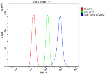 CD30/Tnfrsf8 Rabbit Polyclonal Antibody