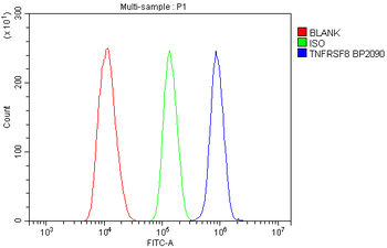 CD30/Tnfrsf8 Rabbit Polyclonal Antibody
