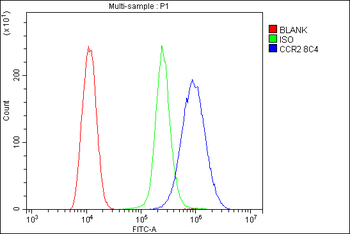 CCR2 Mouse Monoclonal Antibody