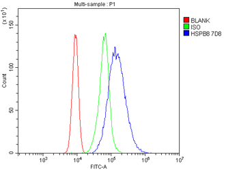 HSPB8/Hsp22 Mouse Monoclonal Antibody