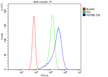HSPB8/Hsp22 Mouse Monoclonal Antibody