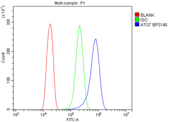 ATG7 Rabbit Polyclonal Antibody