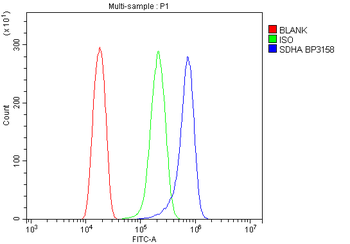 SDHA Rabbit Polyclonal Antibody