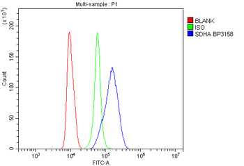 SDHA Rabbit Polyclonal Antibody