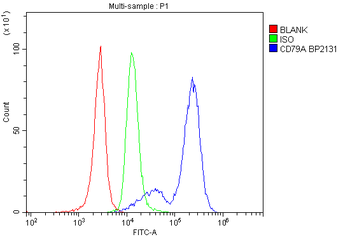 Cd79a Rabbit Polyclonal Antibody