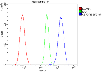 IL-3RB/Csf2rb/IL Rabbit Polyclonal Antibody