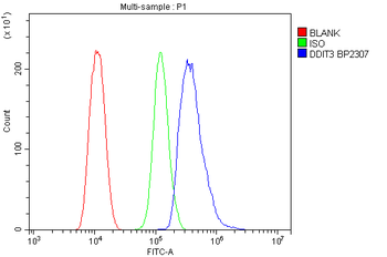 DDIT3 Rabbit Polyclonal Antibody