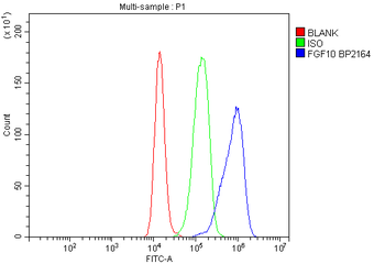 FGF10 Rabbit Polyclonal Antibody