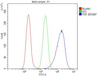 TTC11/FIS1 Rabbit Polyclonal Antibody